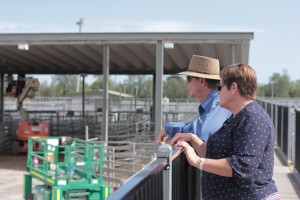 Cr Christine Rolfe and Tim Maguire inspect the Emerald Saleyards