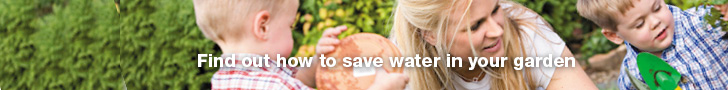 how to save water in your garden